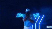 North Carolina Baseball GIF by UNC Tar Heels