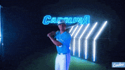 North Carolina Baseball GIF by UNC Tar Heels