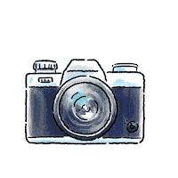 Photo Camera Sticker by Red Bull