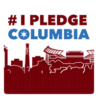 Community Sc GIF by University of South Carolina