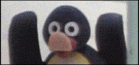 noot noot GIF