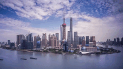 shang hai GIF
