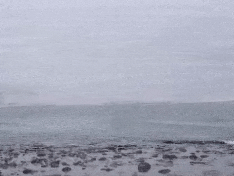 Contemplating Love Life GIF by Barbara Pozzi