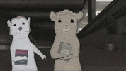 season 1 cats GIF by Animals