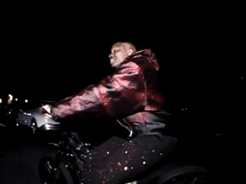 Wolf Bass GIF by IDK