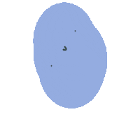 Blob Sticker
