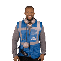 Royal Dutch Airlines Love Sticker by KLM