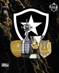 Libertadores Bfr GIF