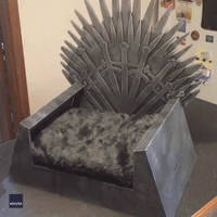 Couple Create Game of Thrones-Themed Bed for Their Dog