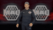 Battersea GIF by MMADen