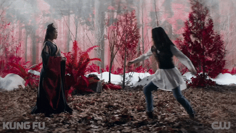 Tv Show Fighting GIF by CW Kung Fu