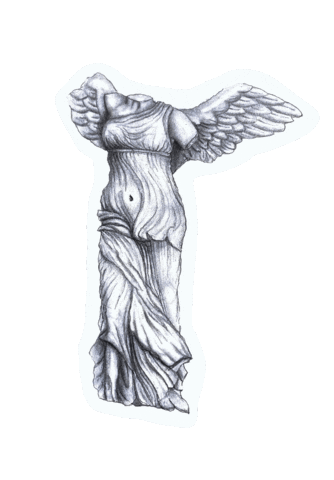 a__studio0 art white aesthetic rose Sticker