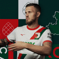 Jeffrey Gouweleeuw Football GIF by FC Augsburg 1907