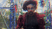 Bearded Drag GIF by Apostrophe