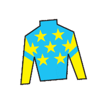 Sport Silk Sticker by Kentucky Derby