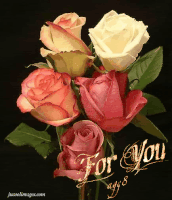 Flowers Roses GIF