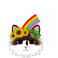 fluffybydesign cat rainbow flowers spring Sticker