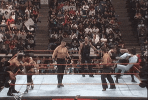 Royal Rumble Endless Loop GIF by Leroy Patterson