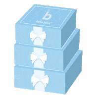 Gifts Gift Box Sticker by bella bliss clothing