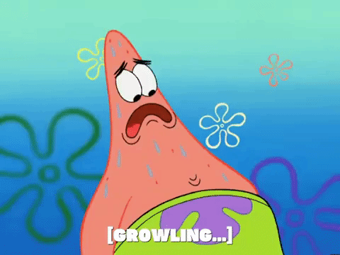 season 5 episode 6 GIF by SpongeBob SquarePants