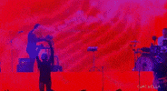 coachella GIF by Phantogram