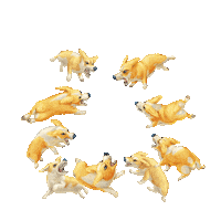 simlol corgi simlol simlolinder corgi quarrel Sticker