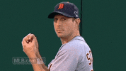 detroit tigers GIF by MLB