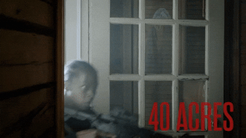 Gun Shoot GIF by Magnolia Pictures