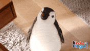 kinder_Pingui hello sweet penguin adorable GIF