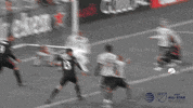 soccer mls GIF by D.C. United