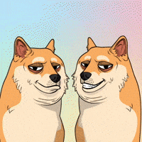Judging Shiba Inu GIF by Doge Pound