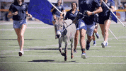 coschoolofmines football animal running best GIF