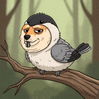 Shiba Inu Wow GIF by Doge Pound