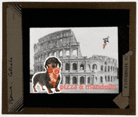 Pizza Gifitup2025 GIF by GIF IT UP