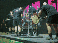 Jade Jacob GIF by SBDApparel