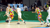 Real Madrid Basketball GIF by ACB