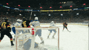 Hockey Nhl GIF by Vancouver Canucks