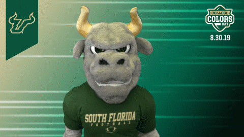 South Florida Bulls GIF by University of South Florida