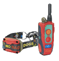 upstatecanineacademy dogs dog training dog trainer tom davis Sticker