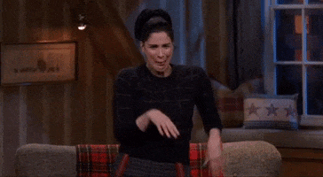 sarah silverman thank you GIF by HULU