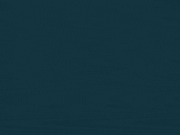 Cat Illustration GIF
