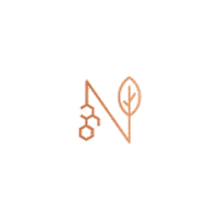 Unwind Plant Based Sticker by Edi Spirits