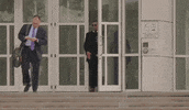 Walking Walk GIF by GIPHY News