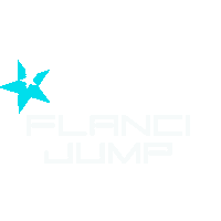 Flancilogo Sticker by FLANCI Activewear