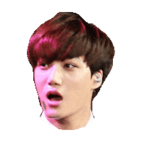 exo STICKER by imoji