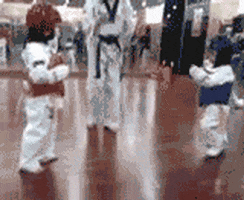kids taekwondo GIF