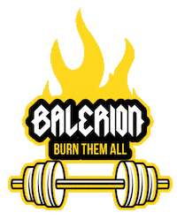 Balerion_CrossFit crossfit balerion balerioncrossfit burn them all Sticker