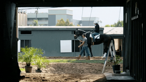 iamhorseracing giphygifmaker horse race horses GIF