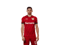 Bayer 04 Love Sticker by Bayer 04 Leverkusen