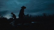mexico tequila GIF